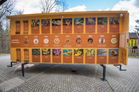 l_2688122021-3 PAVILJON LAJEVEC PHOTOGRAPHY NET 4